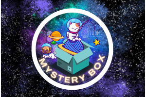 Mystery Box