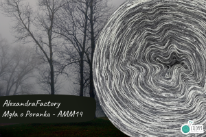 MGŁA O PORANKU - AMM14
