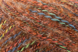 Juliet - 23 jesienne liście