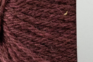 Rosa Pomar Vovó - 06