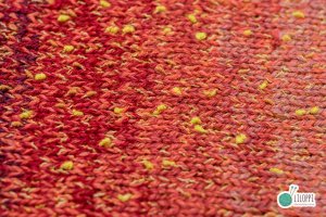 RED BRUSH MOTH (MB1)