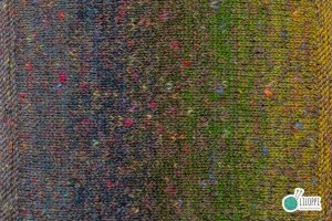 SILENT FOREST MOTH - MB8