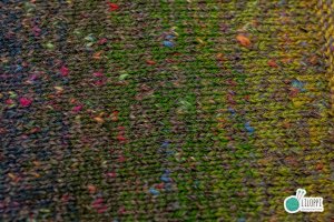 SILENT FOREST MOTH - MB8