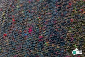 SILENT FOREST MOTH - MB8