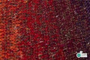 RUST LEAF BUTTERFLY - MB10